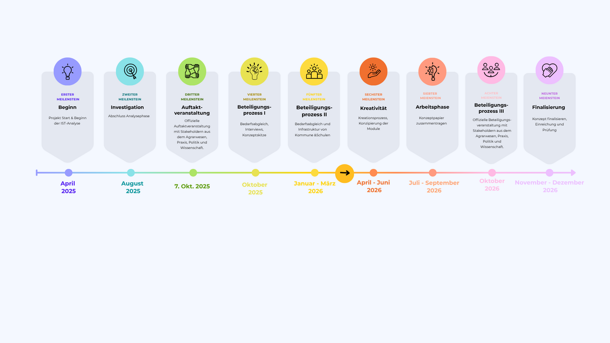 Projekt Timeline Projekt Timeline