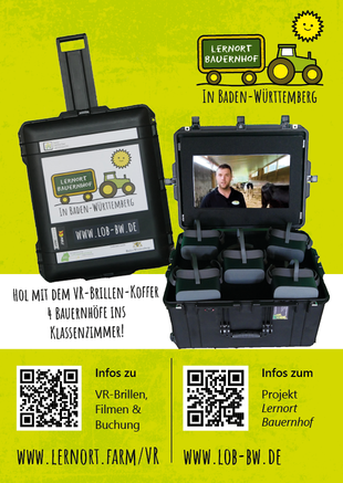 Flyer VR